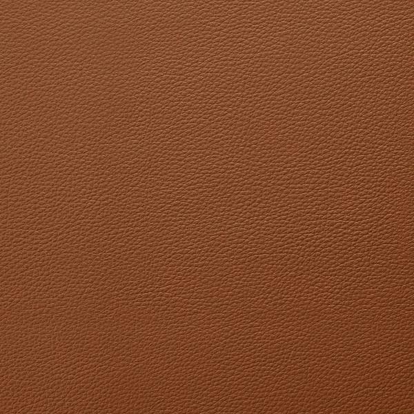 EverSoft™ Indoor/Outdoor Saddle 54" Vinyl Fabric 4 EverSoft™ Indoor/Outdoor Saddle 54" Vinyl Fabric - Image 2