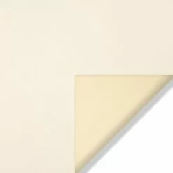 Morbern® Seabrook Sea White 54" Foam Backed Headliner