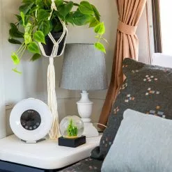 Sunbrella® 42102-0009 Nurture Haze 54" Upholstery Fabric -Cheap Fabric Store Sunbrella 42102 0009 Nurture Haze 54 Upholstery Fabric 701